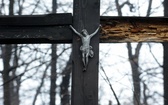 Krzyż w parku