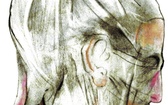 Sudarion 