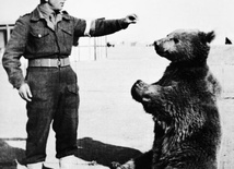 Niedźwiedź który był żołnierzem