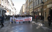 Manifestowali w obronie rodziny