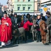 Król na ulicy 