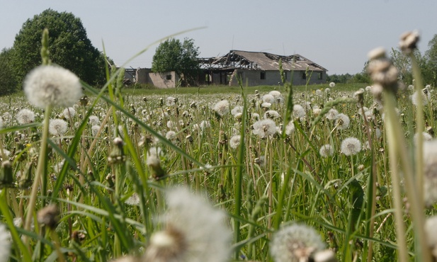 Nie wszyscy tęsknią za wiosną