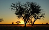 Park Narodowy Namib-Naukluft (Namibia)