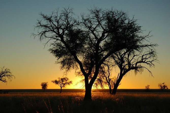 Park Narodowy Namib-Naukluft (Namibia)