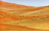 Park Narodowy Namib-Naukluft (Namibia)