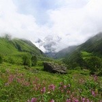 Park Narodowy Nanda Devi i Doliny Kwiatów (Indie)