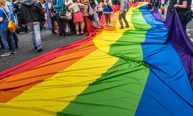 Projekt pod dyktando ideologii gender