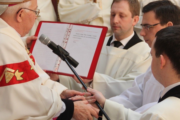Obłóczyny i lektorat