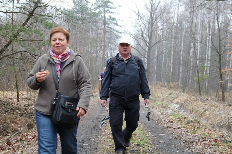 Camino Sączów - Piekary