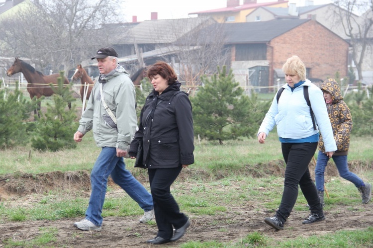 Camino Sączów - Piekary