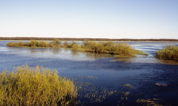 Nie znaleziono mężczyzny, który wpadł do Biebrzy