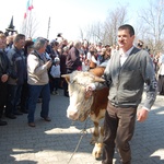 Bacowskie święto w Ludźmierzu