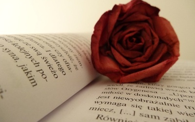 Książki pachnące różami