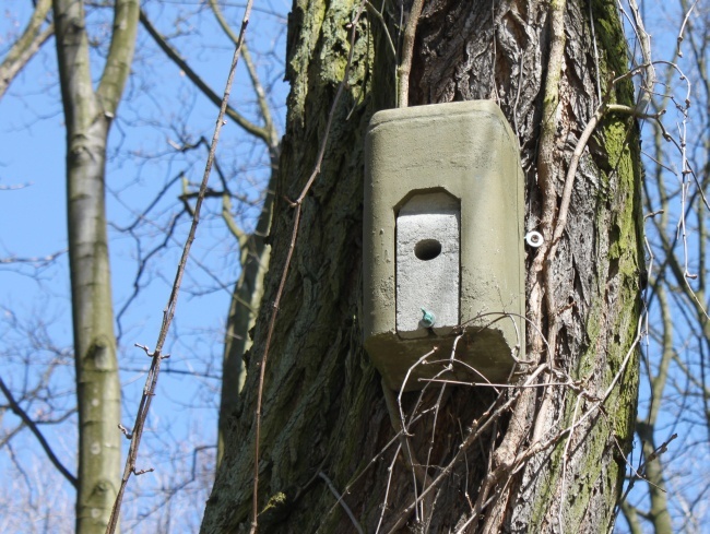 Pałac i park w Żmigrodzie