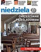 Niedziela 16/2013