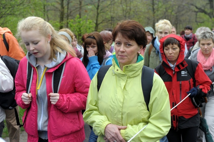 Sulistrowiczki 2013