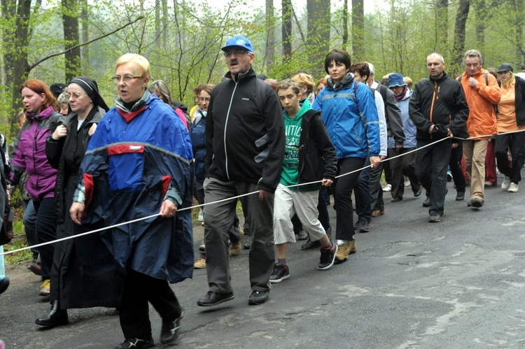 Sulistrowiczki 2013