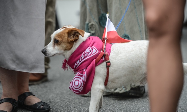 Święto Flagi bez flag