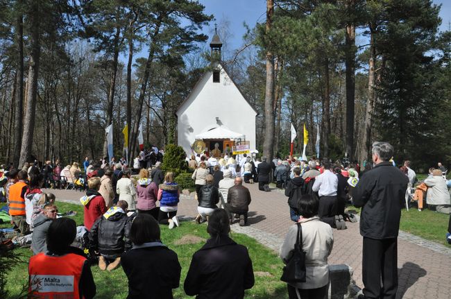 Piesza Pielgrzymka Promienista