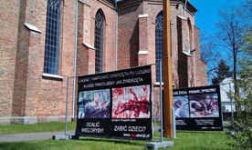 Antyaborcyjna wystawa przez ponad tydzień stała przy kościele parafii św. Jana Chrzciciela w Sochocinie