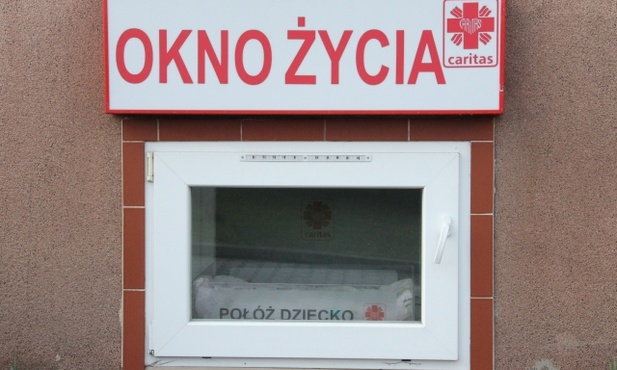 Chłopczyk w oknie życia