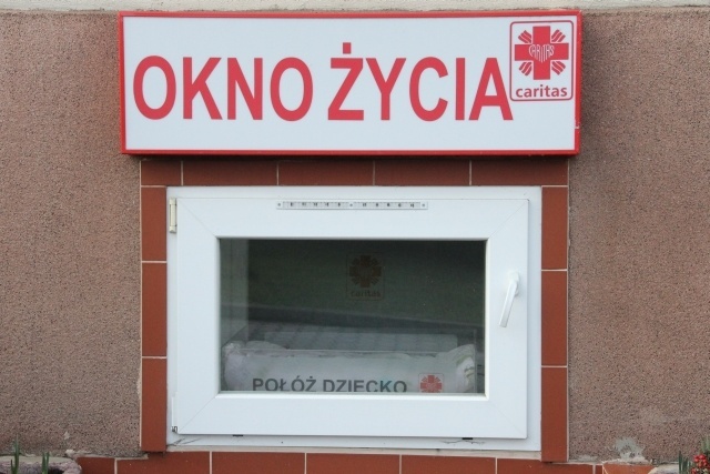 Chłopczyk w oknie życia