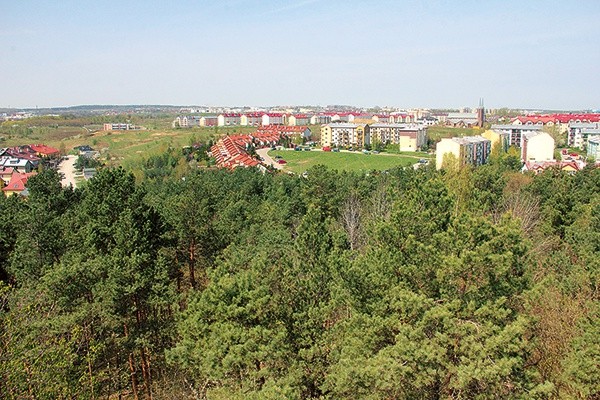 Gdańsk-Południe. Wilki widziano w odległości kilkunastu kilometrów od osiedli mieszkalnych