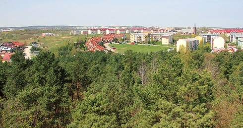 Gdańsk-Południe. Wilki widziano w odległości kilkunastu kilometrów od osiedli mieszkalnych