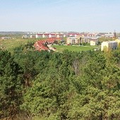 Gdańsk-Południe. Wilki widziano w odległości kilkunastu kilometrów od osiedli mieszkalnych