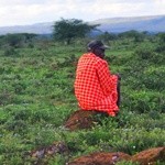 Masajowie jacy są