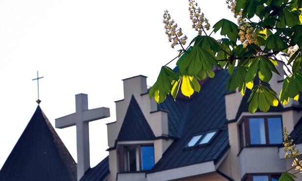WSD w Tarnowie - kwitną kasztany na seminaryjnym dziedzińcu 