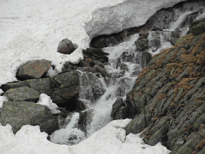 Pięć Stawów i kozice, czyli Tatry puste po majówce