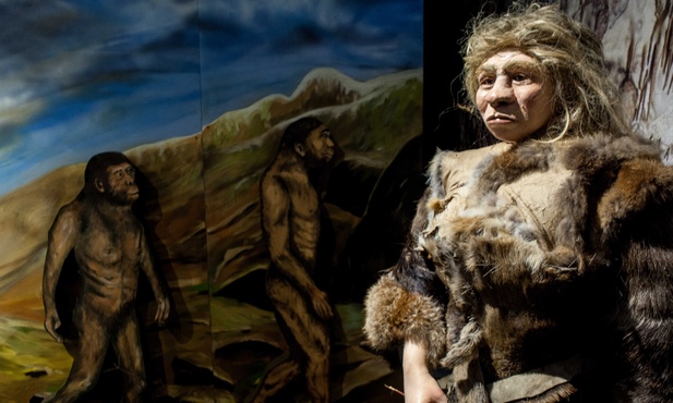 Centrum Neandertalczyka 