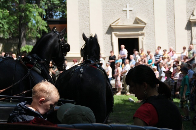 Pielgrzymka miłośników koni