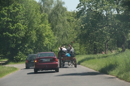 Pielgrzymka miłośników koni