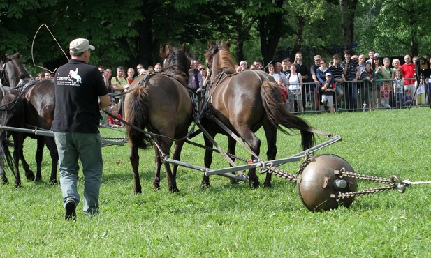 Eksperyment magdeburski w Krakowie