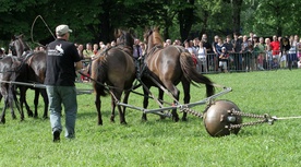 Eksperyment magdeburski w Krakowie