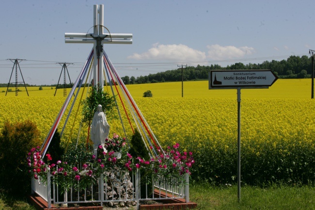 Wilkowska Fatima ruszyła