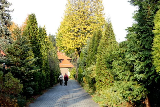 Centrum Szensztackie w Rokitnicy