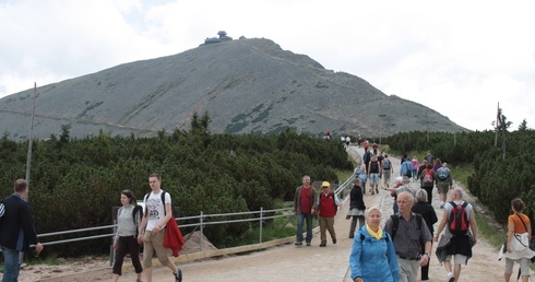 Telefon Bezpieczeństwa