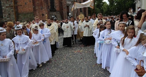 W procesji szli: wierni, duchowieństwo, siostry zakonne, dzieci pierwszokomunijne, członkowie katolickich ruchów i stowarzyszeń