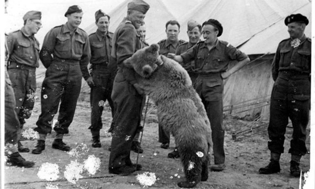 Wojtek na pomniku