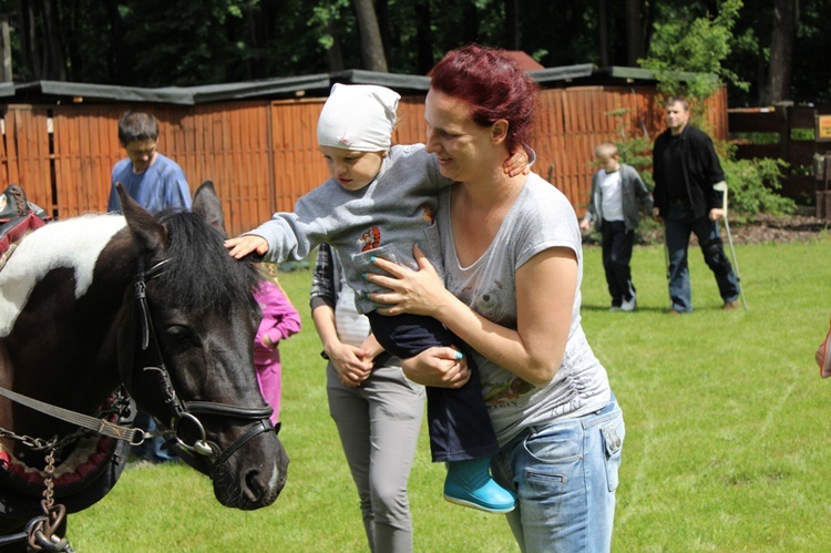 Terapia, edukacja i rekreacja w ogrodzie