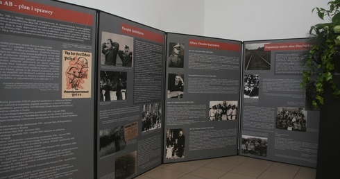 Ofiary krwawej współpracy