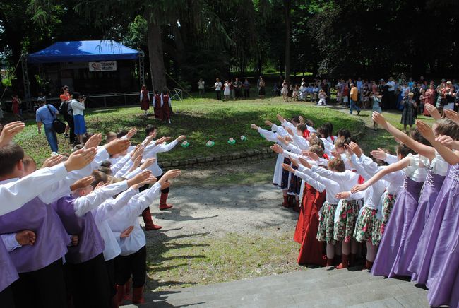 Patriotyczny piknik