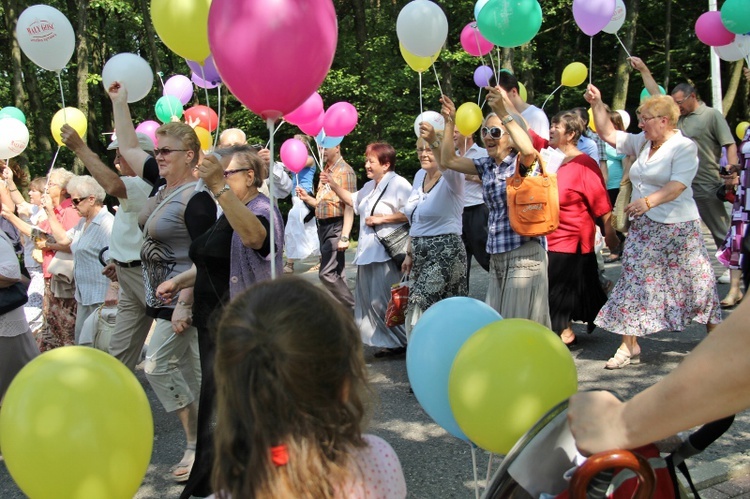 Marsz dla Życia i Rodziny - Jastrzębie 2013