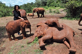 Dr Paula Kahumbu, oprócz pracy w Parku Narodowym Nairobi, jest współautorką książek dla młodzieży, poświęconych ochronie  dzikich zwierząt.  Niektóre z nich przetłumaczono na 25 języków