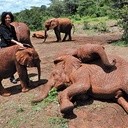 Dr Paula Kahumbu, oprócz pracy w Parku Narodowym Nairobi, jest współautorką książek dla młodzieży, poświęconych ochronie  dzikich zwierząt.  Niektóre z nich przetłumaczono na 25 języków