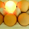 Jajka które świecą