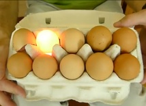 Jajka, które świecą